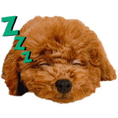 akane_20190814141204