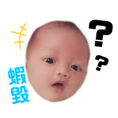 高麗菜包的日常2