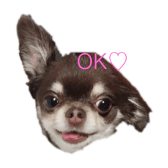 HARUNA_20190814155753