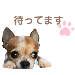 mamesiba_20190814125750