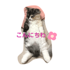 eiko_20190814171352