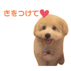 nanamin_20190814131030