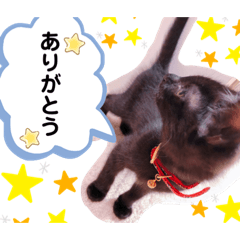 zizisanstamp2