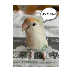 kota_20190814175923