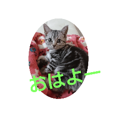 dai_20190814201226