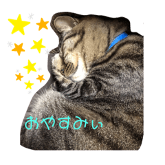 kazuki_20190814205007