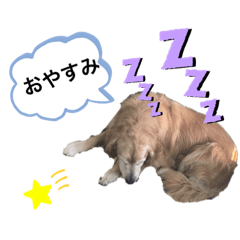 RINGO_20190814202208