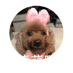 Milo出門賺錢part2