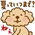 トイプーのぷう太郎 残暑〜秋編
