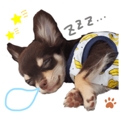 saori_20190815010312