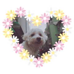 湯匙表情包包包包包包