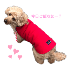 cocoa_20190815095540