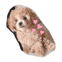 misato_20190815140641