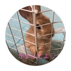 moka_20190815154141