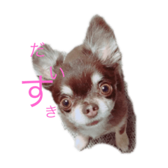 HARUNA_20190815155856