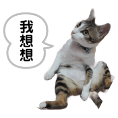 簡小Q系列