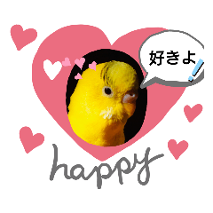 鳥組