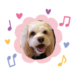 Happy Puppy Day!