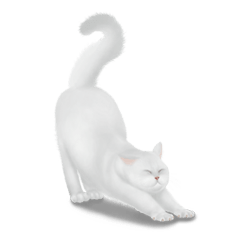 Chubby Cat : Kyulis (English Version)