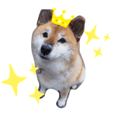 haruna_20190815153619