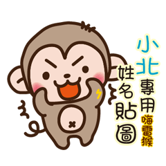 Twopebaby thunder monkey 1214