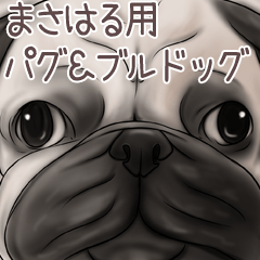 Masaharu Pug and Bulldog