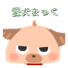 pet dog "max"