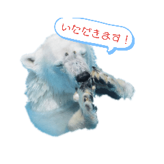 omochi_20190815213319