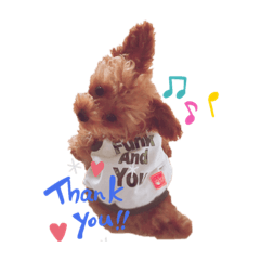 kinako_20190815222207