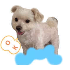 kinako_20190815230403