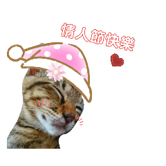 我家の阿貓阿狗3