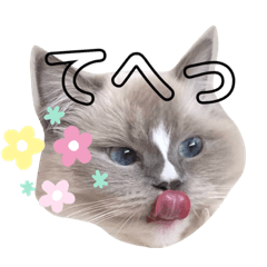 akiko_20190816001856