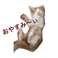 AYUMI_20190816001849