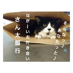 hide_20190816013526