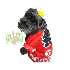 chiitan_20190815201847