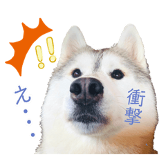 yamachaso_stamp