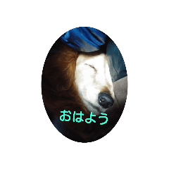 kuutaro