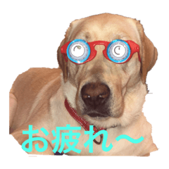 Yukko_20190816111326