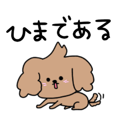 toy poodle"o-ji"