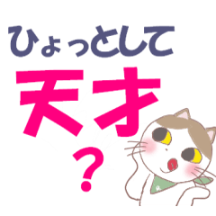 BIB CAT REN(support message version)