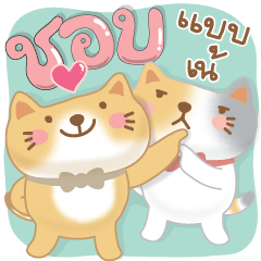 Fufu & Fyfy cute cats.