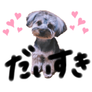 I am kaikun