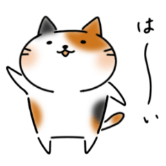 Amiable Cat Mike-san