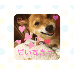 kanako_20190816144950