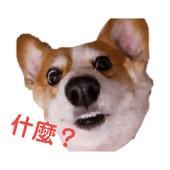 亞咪咪