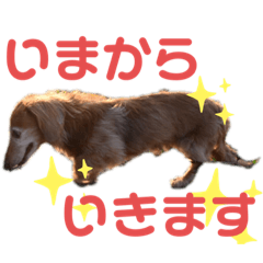 yosi_20190816133800r