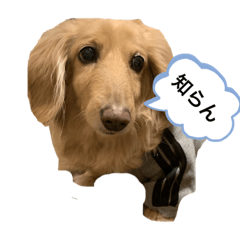 tomomi_20190816145714