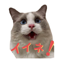 yk_20190816155814