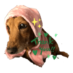 chie_20190816171444