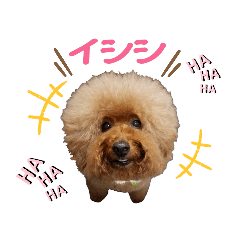 mamedaifuku_20190816181005